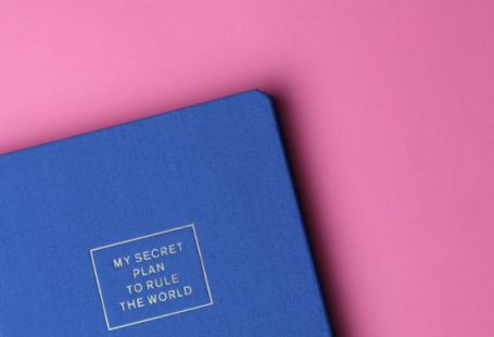 Planning - My Secret Plan to Rule the World Book